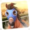 THE WORLD IS YOURS, MAKE IT THE PERFECT HORSE HAVEN