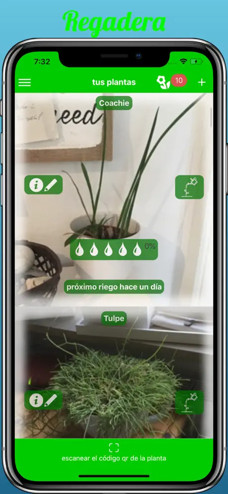 Regadera