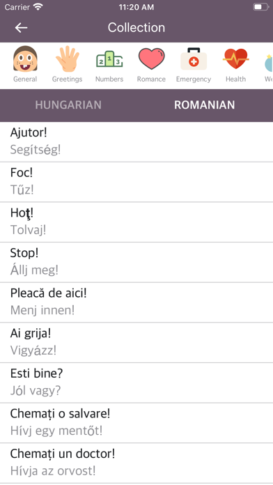 Screenshot #2 pour Hungarian Romanian Dictionary