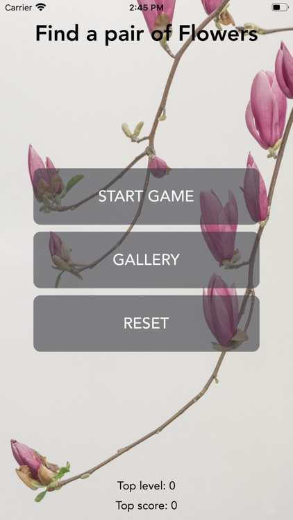 Find a pair of Flowers