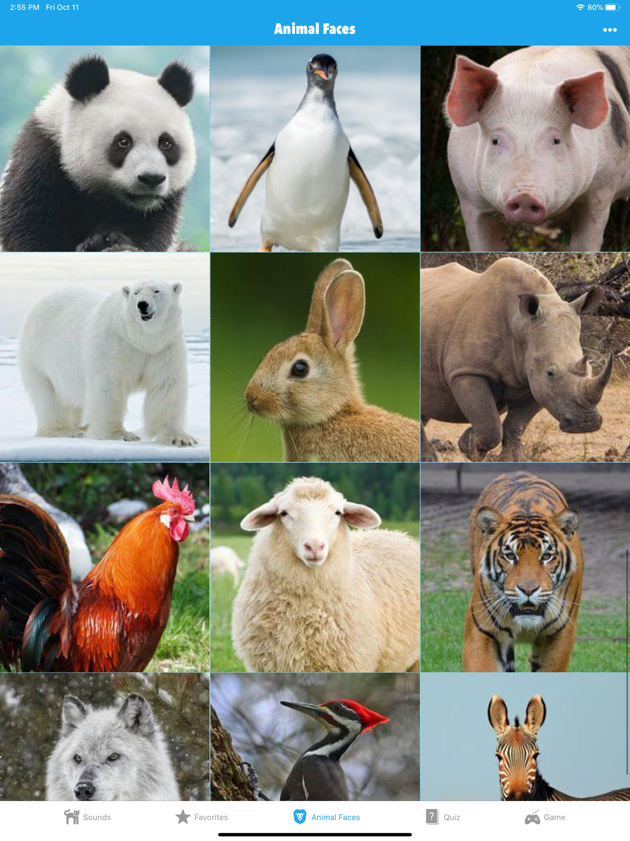 Animal Sounds for Kids Lite! screenshot 15
