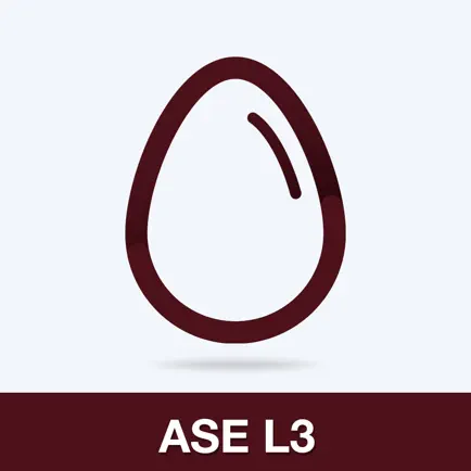 ASE L3 Practice Test Prep Читы