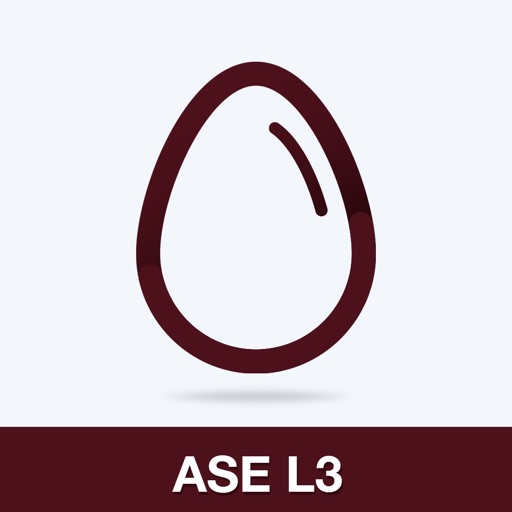 ASE L3 Practice Test Prep icon