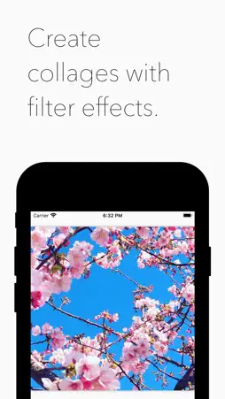 Filter Collage Maker screenshot 1