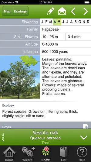 Trees & shrubs screenshot 2