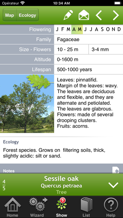 Trees & shrubs Screenshot