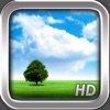 Weather Motion HD