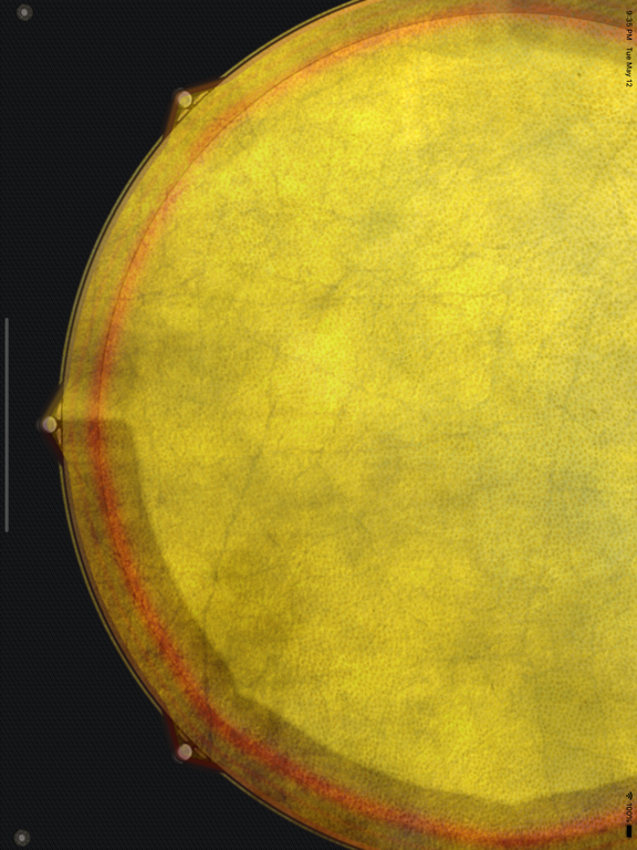 Djembe Thumb Drum iPad screenshot 4 - Music app