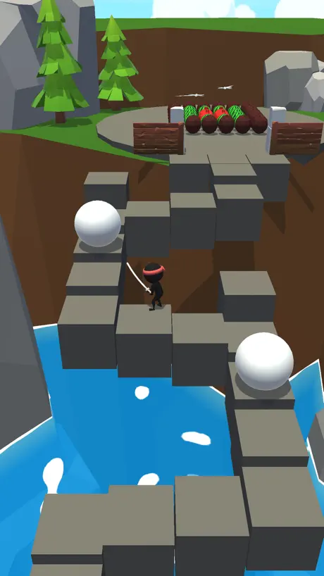 Crazy Ninja!