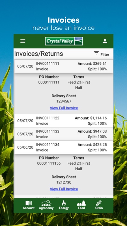 Crystal Valley screenshot-4