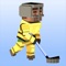 Furious hockey is a full-contact sport played on an ice rink between 2 teams made up of 8 players each