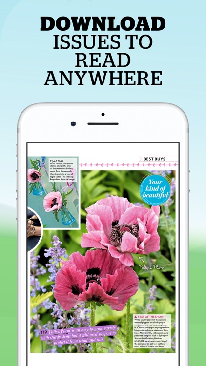Modern Gardens Magazine screenshot-3