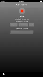 music speed changer lite 2 айфон картинки 4