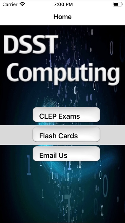 DSST Intro Computing Buddy