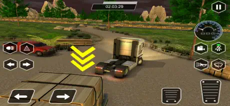 Heavy Truck Transport Driver