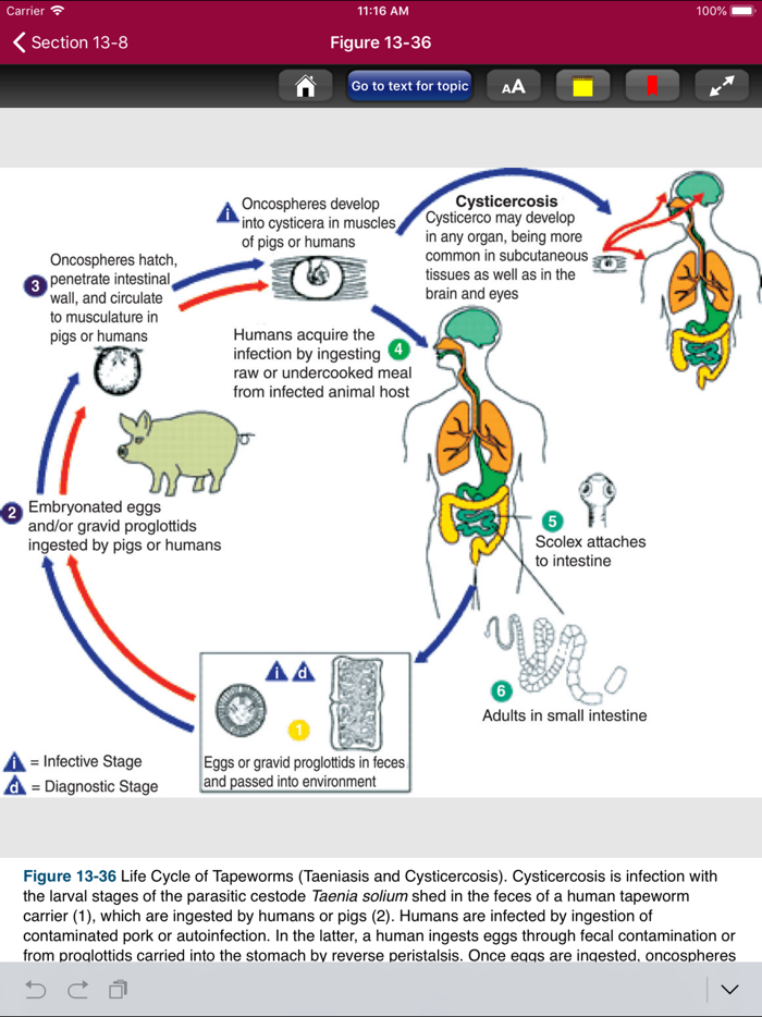 Atlas of Pediatric ER Med 3-E