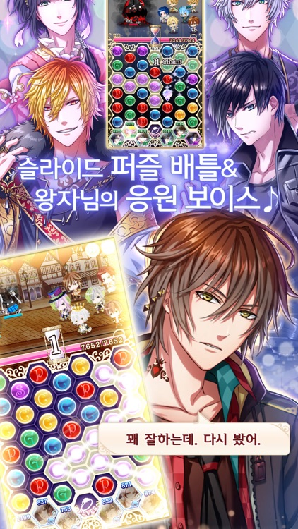 꿈왕국과 잠자는 100명의 왕자님