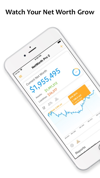 NetWorth Pro 2 screenshot-0