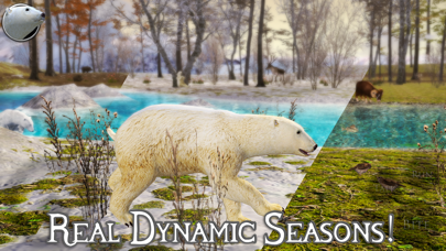 Polar Bear Simulator 2のおすすめ画像2