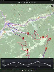 cartograph 2 lite map viewer айпад изображения 3