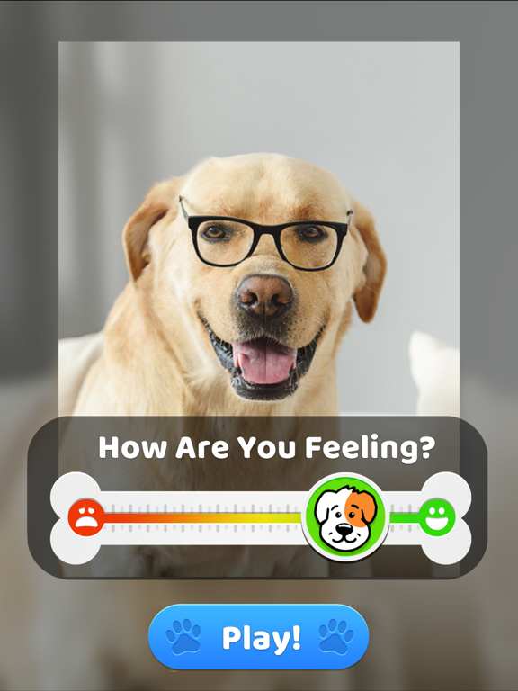 Screenshot #4 pour Murphy Cares