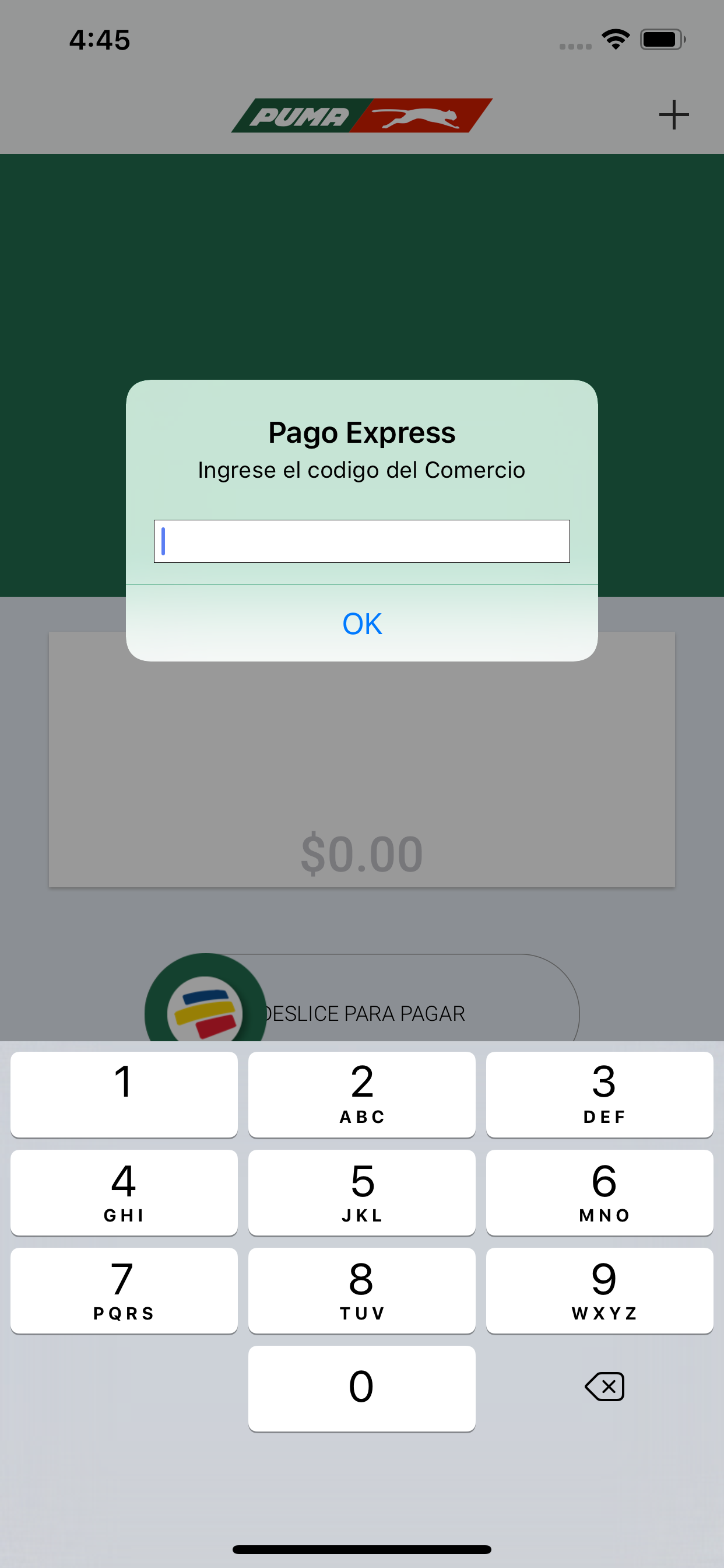 Pago Express screenshot 4