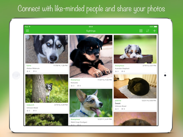 ‎Снимка на екрана на iKnow Dogs 2 PRO