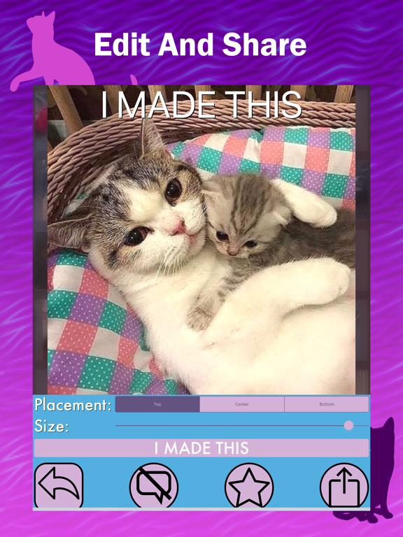 Screenshot #5 pour Kitter: Live Cat Pics