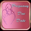 Pregnancy Due Date