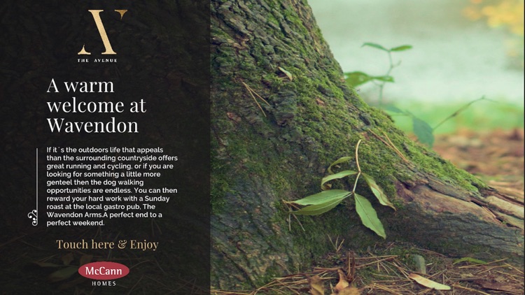 McCann Homes - The Avenue