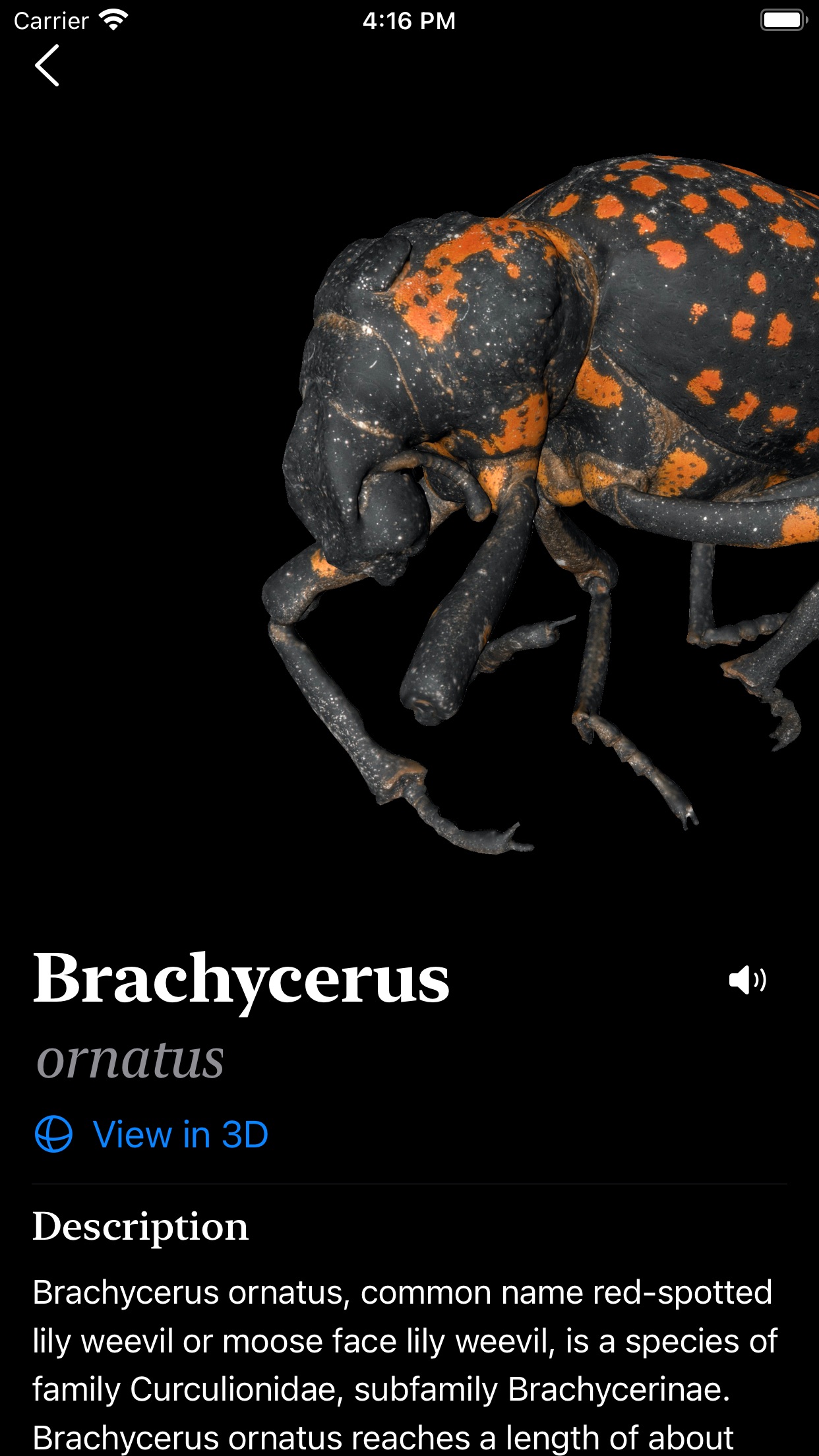 Screenshot do app Insecta - Study Insects in AR