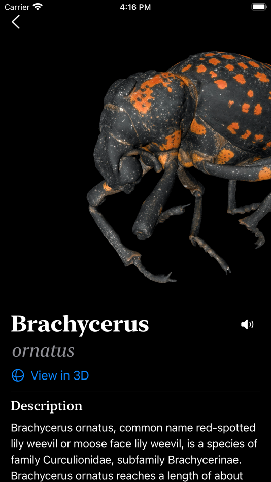 #6. Insecta - Study Insects in AR (macOS) 由: Samira Sadeghi