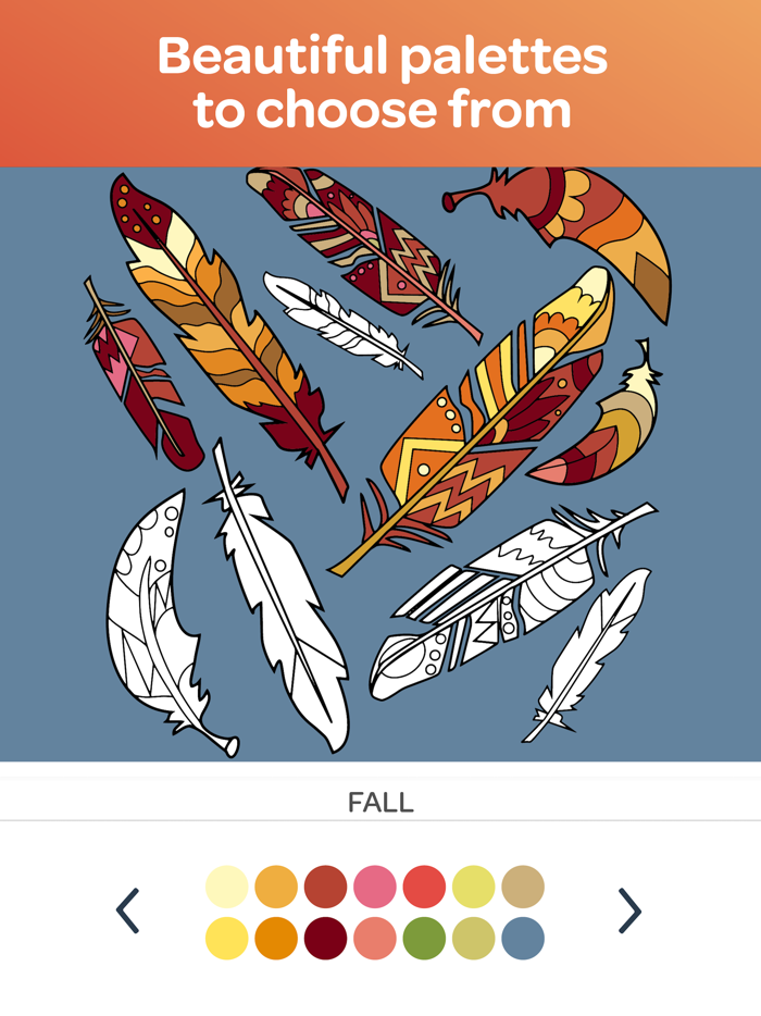 Colorfull - Calm Coloring Book