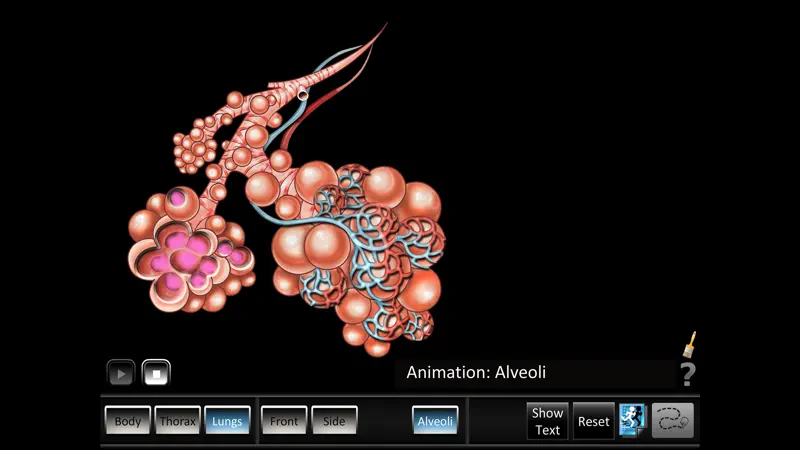 Respiration ID screenshot 3 of 5