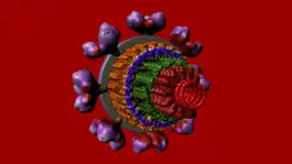 Game screenshot Bio Virus Structure in 3D hack