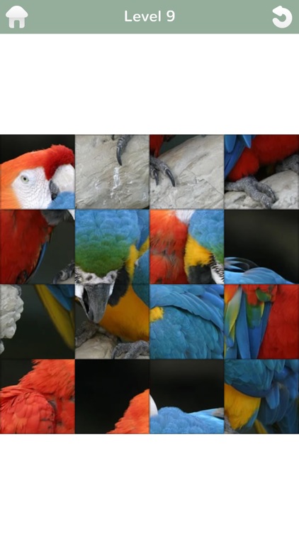 101 Puzzle Pix screenshot-7