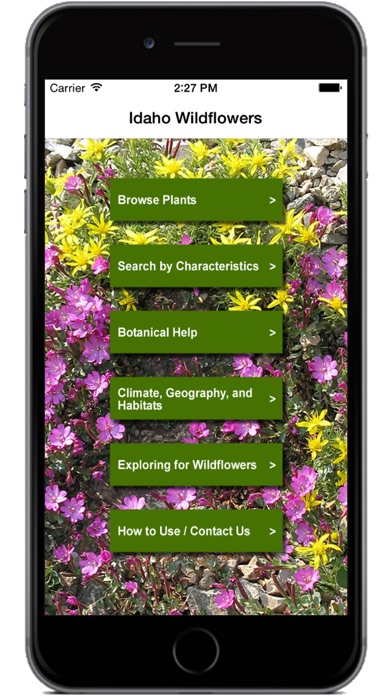 Idaho Wildflowers Screenshot