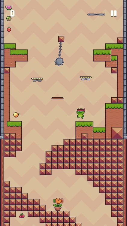 Ringo The Frog screenshot-3