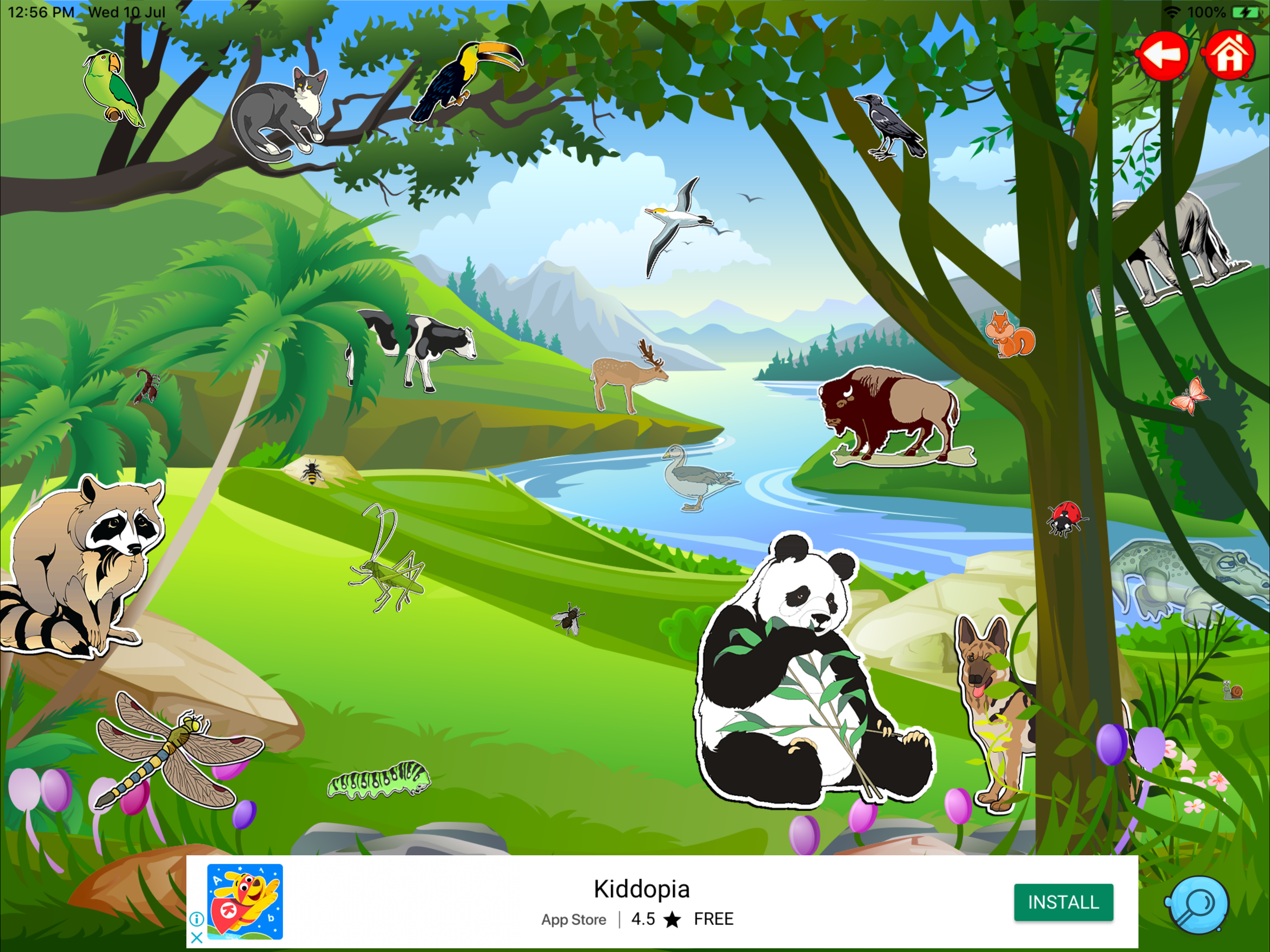Learn Animals, Birds & Insects screenshot 10