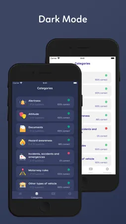 Car Theory Test 2020 screenshot 8