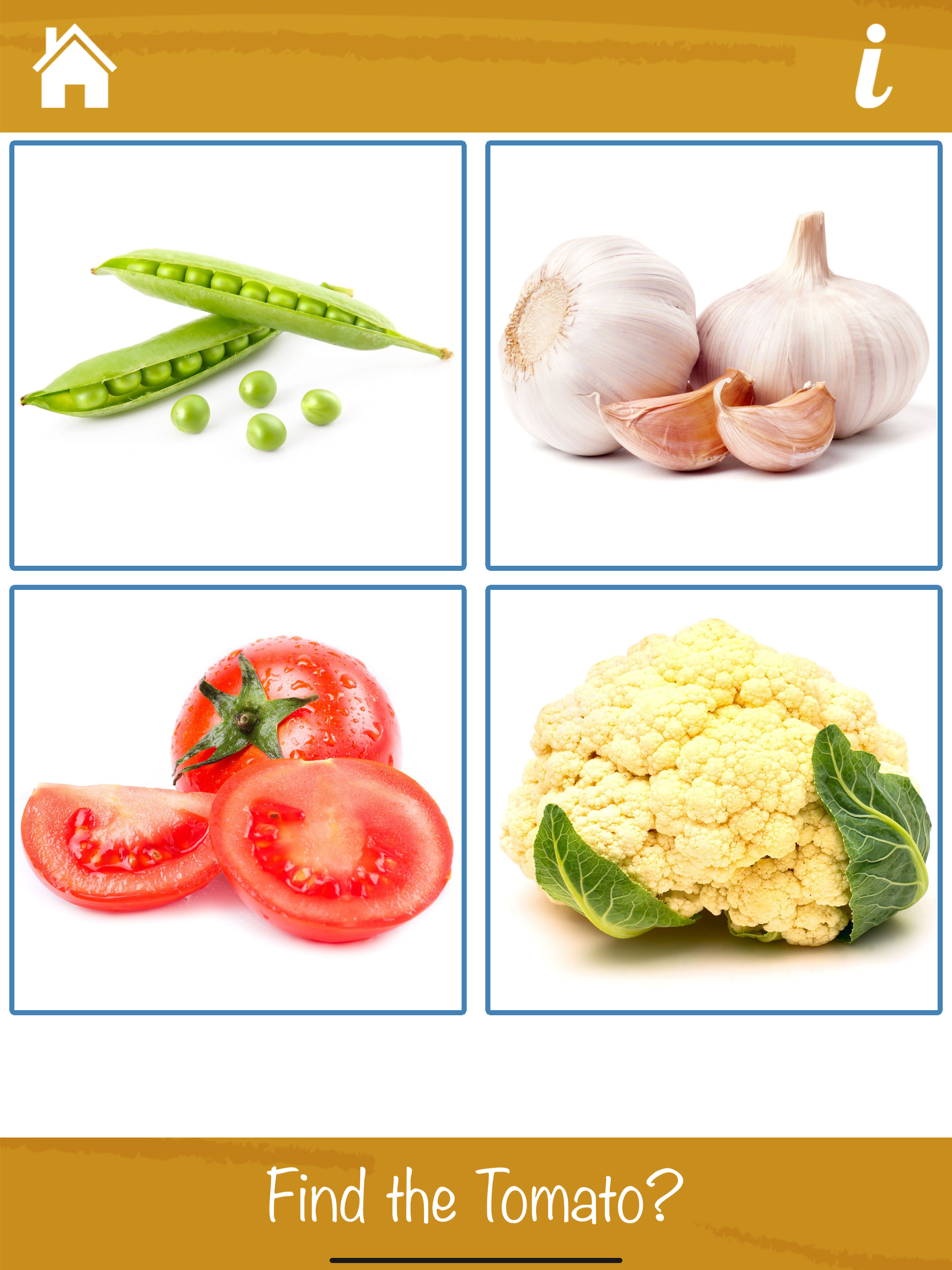 Lets Learn Fruits & Vegetables
