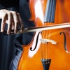 Pocket Cello - Play for real!