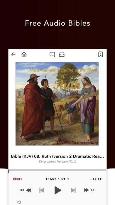 Audio Bibles Screenshot