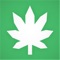 Weeddilly is the world’s best social media network for cannabis enthusiasts – bloggers – businesses – influencers or simply if you’re a cannabis lover