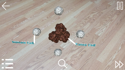 Screenshot #1 pour IRAE-AR