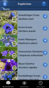 Alpenblumen Id Automatik iphone bilder 0
