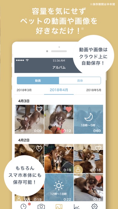 ペットみるん - ペット見守りカメラ アプリのおすすめ画像4