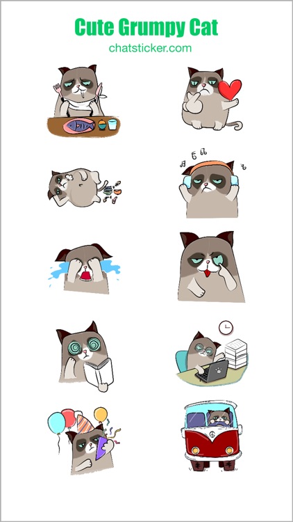 Cute Grumpy Cat