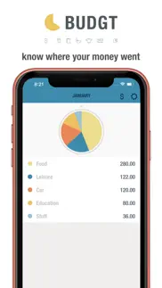budgt - daily finance iphone screenshot 4