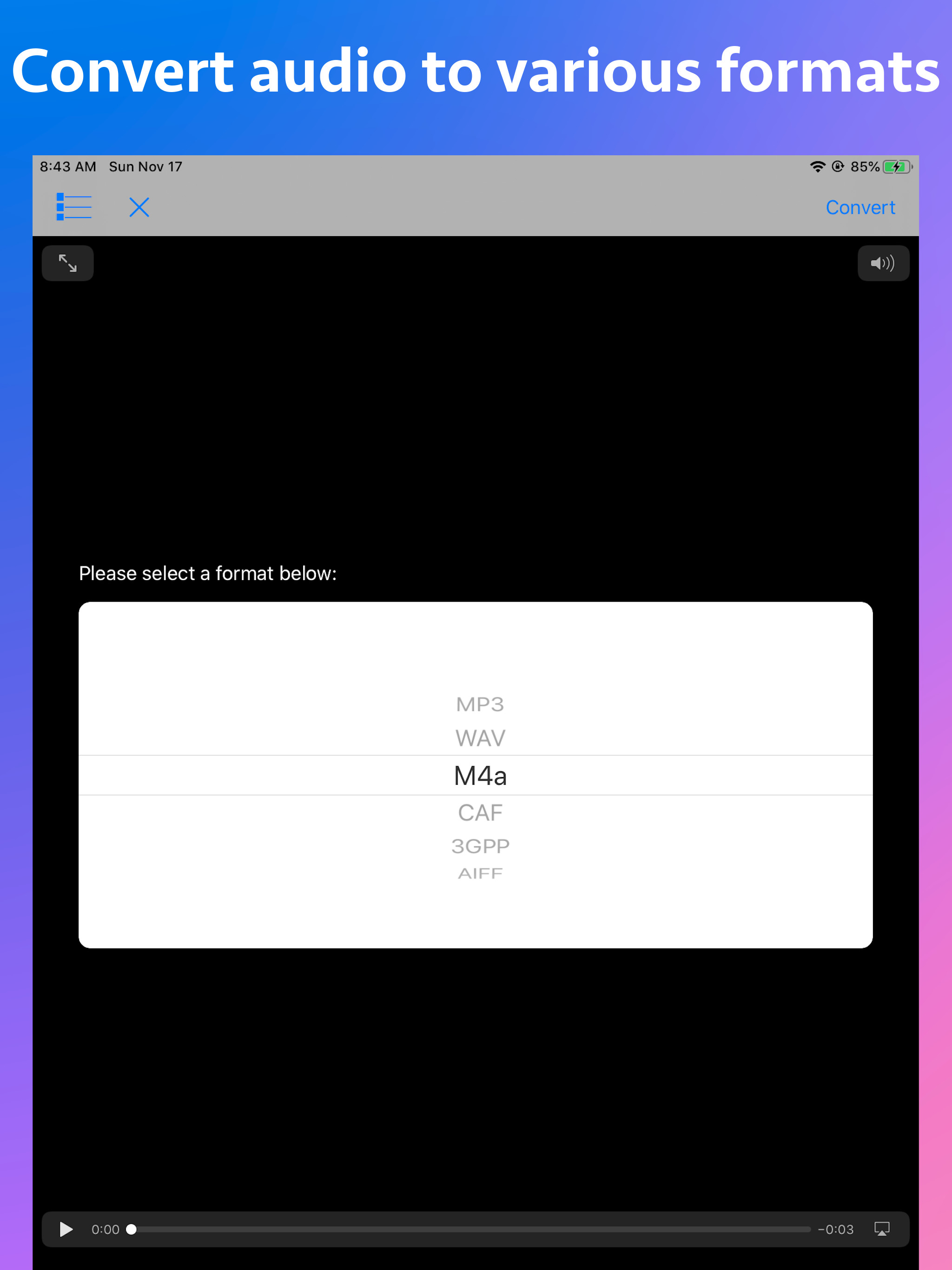 Audio Type Converter screenshot 5